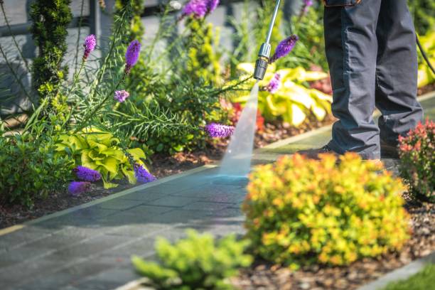Best Driveway Pressure Washing  in Woodcliff Lake, NJ